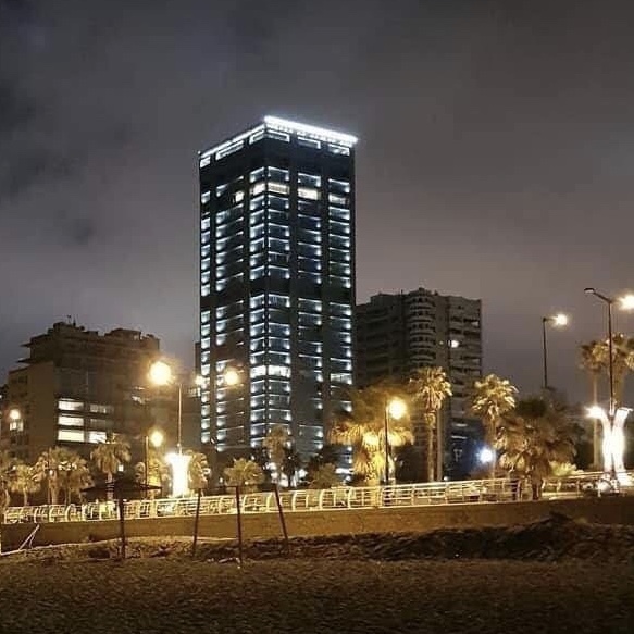 Palo Tower project photo 5